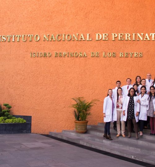 Instituto Nacional de Perinatología